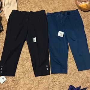 Blue and navy Blue Capri dress pants. You can put something’s in pockets